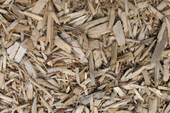 biomass boilers Low Knipe
